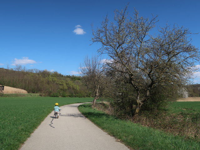 Nils zwischen Niederkreuzstetten und Hautzendorf
