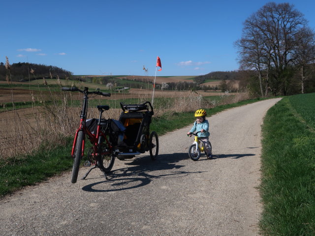 Nils zwischen Niederkreuzstetten und Hautzendorf