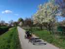 Obersdorf