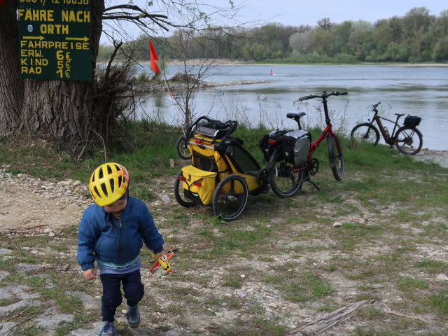 Nils in Haslau an der Donau, 149 m