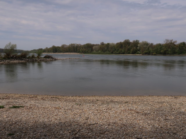 Donau bei Haslau, 149 m