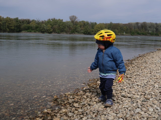 Nils in Haslau an der Donau, 149 m
