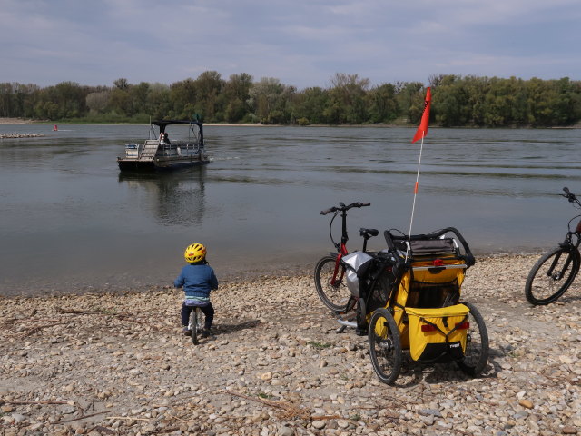 Nils in Haslau an der Donau, 149 m