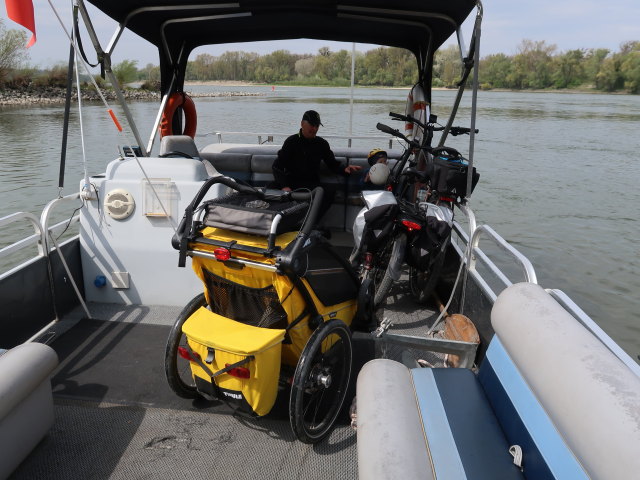 Nils auf der Donau bei Haslau, 149 m