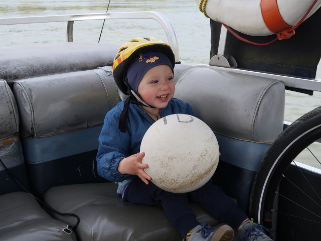 Nils auf der Donau bei Haslau, 149 m
