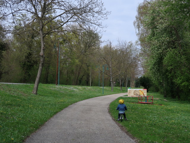 Nils zwischen Donau und Orth an der Donau