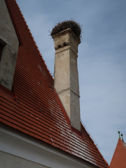 Nationalparkzentrum Schloss Orth, 150 m