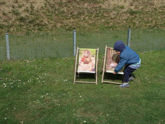 Nils auf der Schlossinsel im Nationalparkzentrum Schloss Orth, 150 m