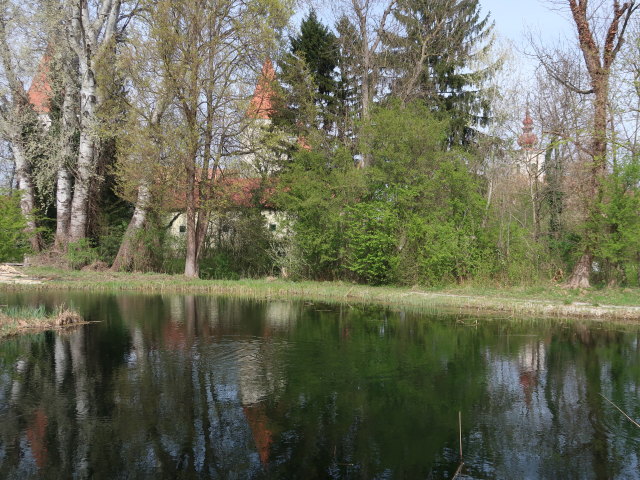 Schlossinsel im Nationalparkzentrum Schloss Orth, 150 m