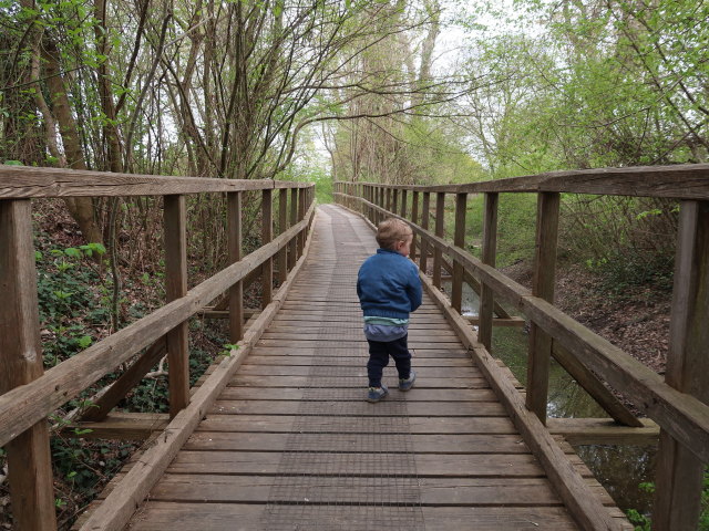 Nils auf der Schlossinsel im Nationalparkzentrum Schloss Orth, 150 m