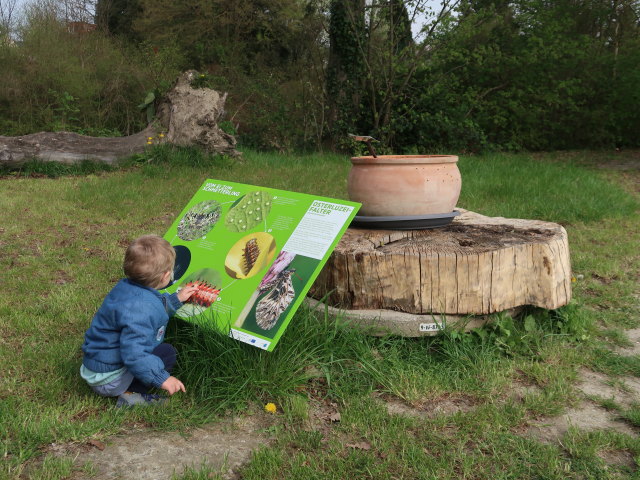 Nils auf der Schlossinsel im Nationalparkzentrum Schloss Orth, 150 m