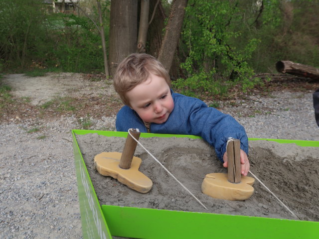 Nils auf der Schlossinsel im Nationalparkzentrum Schloss Orth, 150 m