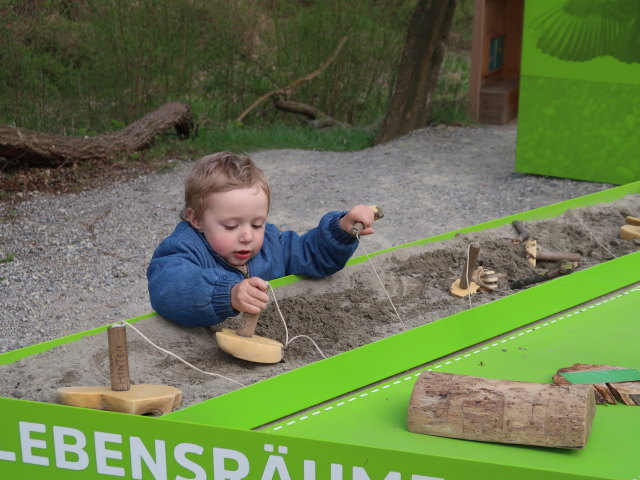 Nils auf der Schlossinsel im Nationalparkzentrum Schloss Orth, 150 m