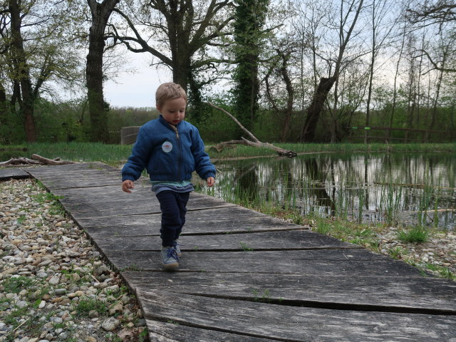 Nils auf der Schlossinsel im Nationalparkzentrum Schloss Orth, 150 m