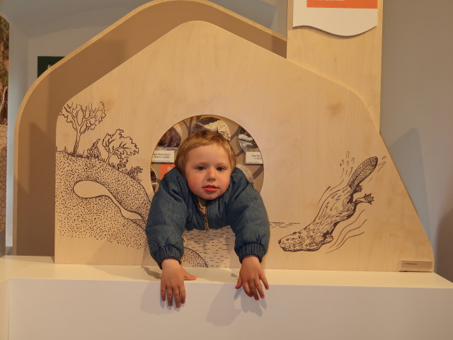 Nils im Nationalparkzentrum Schloss Orth, 150 m