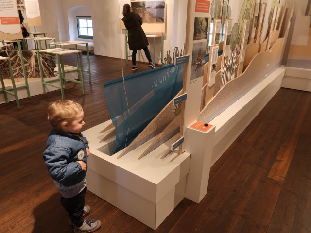Nils im Nationalparkzentrum Schloss Orth, 150 m