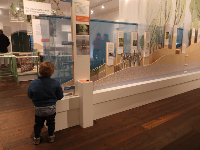 Nils im Nationalparkzentrum Schloss Orth, 150 m