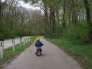 Nils zwischen Donau und Orth an der Donau