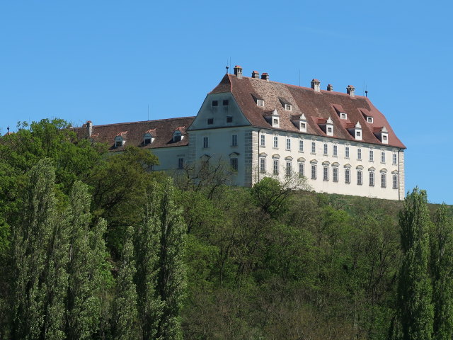 Schloss Juliusburg, 220 m