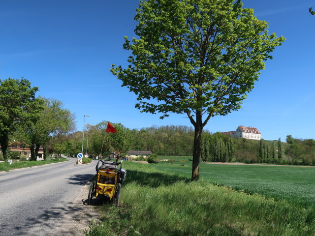 zwischen Absdorf und Stetteldorf am Wagram