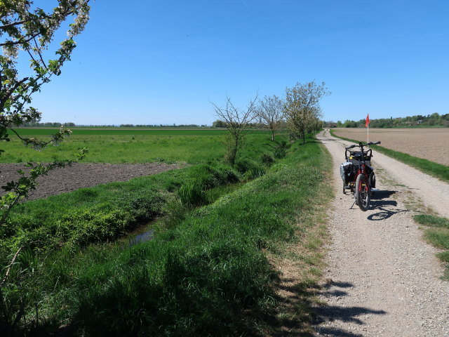 zwischen Hausleiten und Oberz&ouml;gersdorf