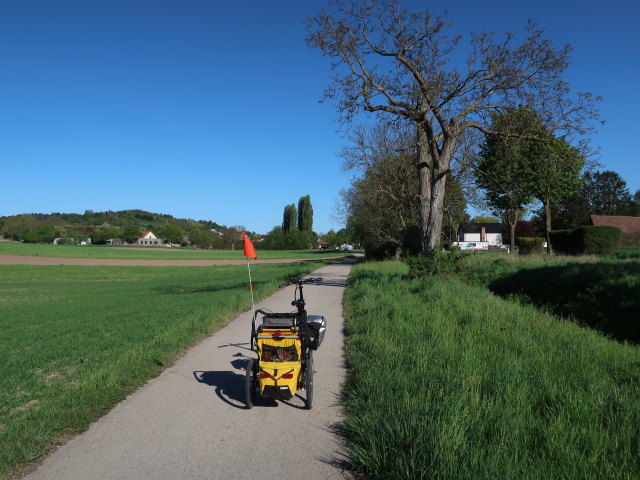 zwischen Korneuburg und Klein-Engersdorf