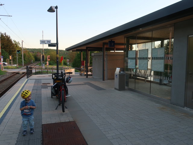 Nils im Bahnhof Niederkreuzstetten, 241 m