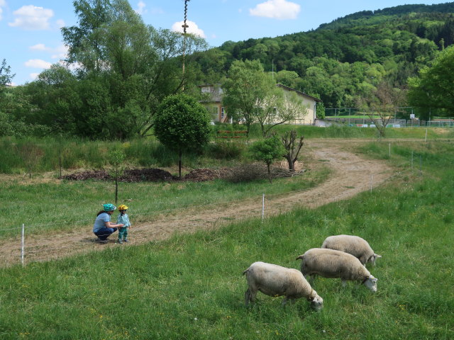 Sabine und Nils in Matzleinsdorf (8. Mai)