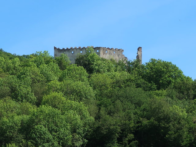 Burgruine Zelking, 300 m (8. Mai)