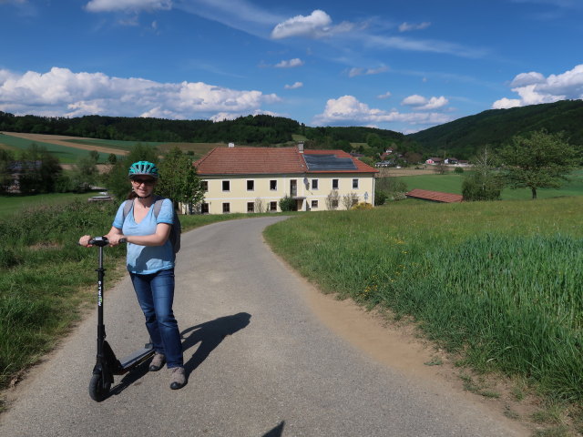 Sabine zwischen Mannersdorf und Ruprechtshofen (8. Mai)