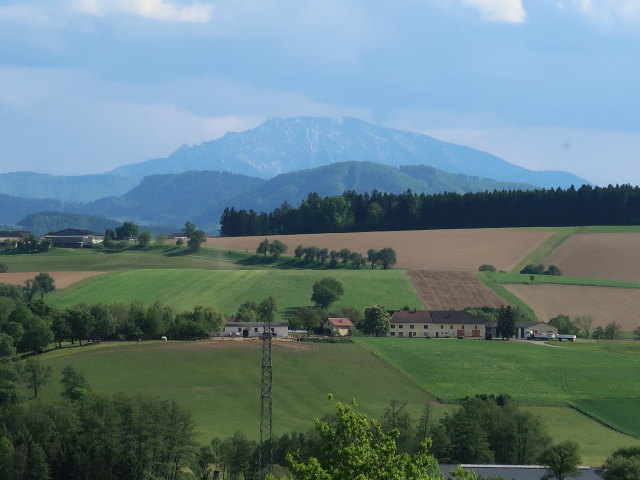 &Ouml;tscher von Sandberg aus (8. Mai)