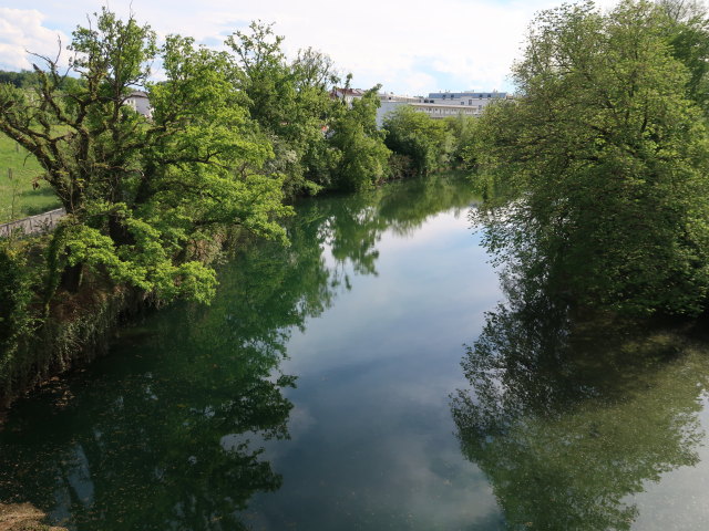 Erlauf in Wieselburg (8. Mai)