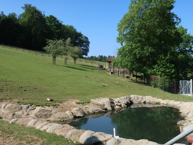 Wildpark Hochrie&szlig; (9. Mai)