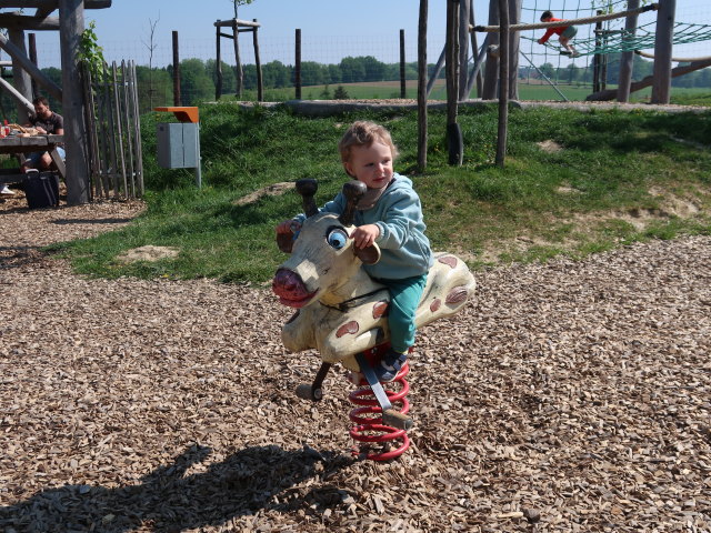 Nils im Wildpark Hochrie&szlig; (9. Mai)
