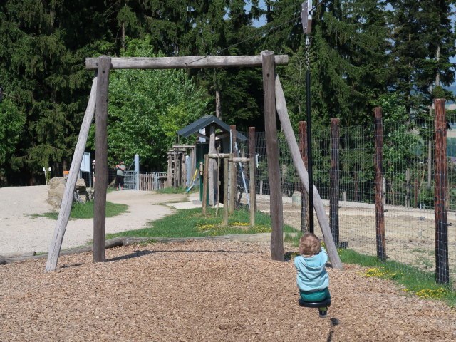 Nils im Wildpark Hochrie&szlig; (9. Mai)
