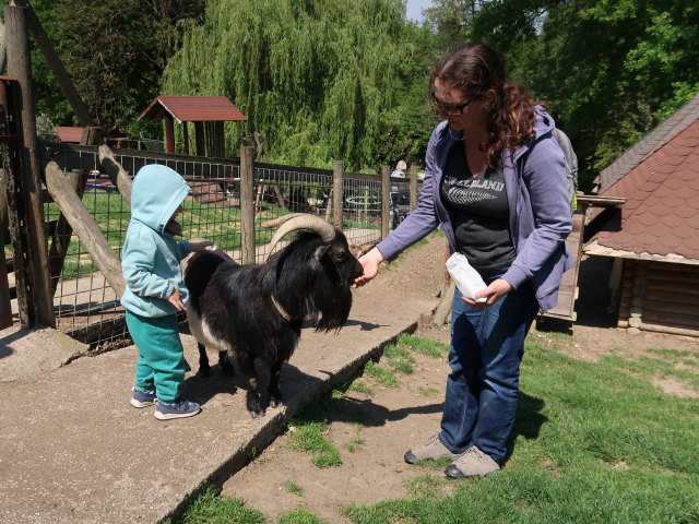 Nils und Sabine im Wildpark Hochrie&szlig; (9. Mai)