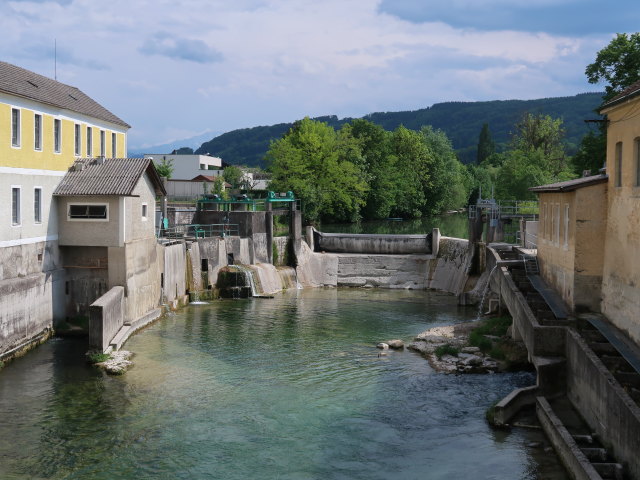 Erlauf in Purgstall (9. Mai)