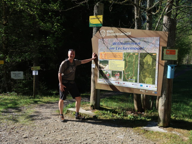 Frank beim Leckermoor, 864 m