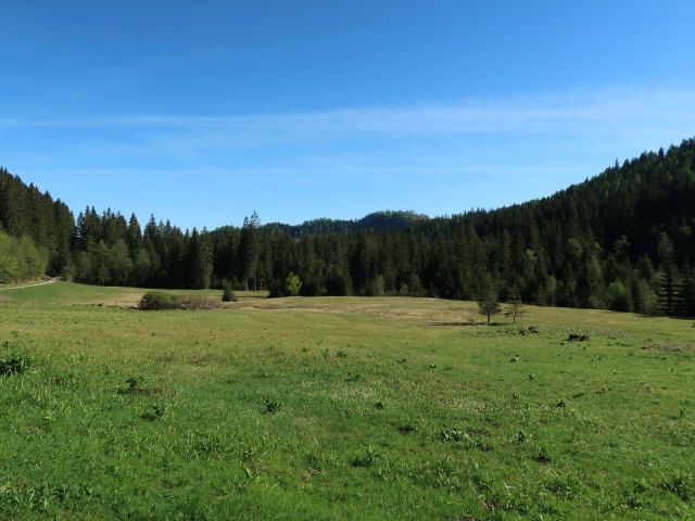Leckermoor