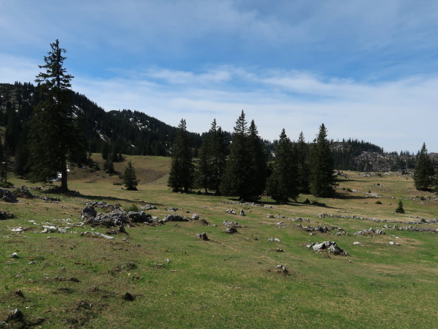 Wiesenalm