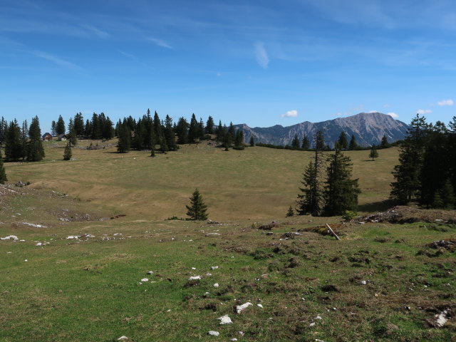 Wiesenalm