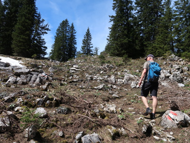 Frank zwischen Wiesenalm und Lahnerkogel