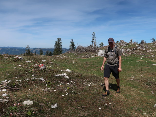 Frank zwischen Wiesenalm und Lahnerkogel
