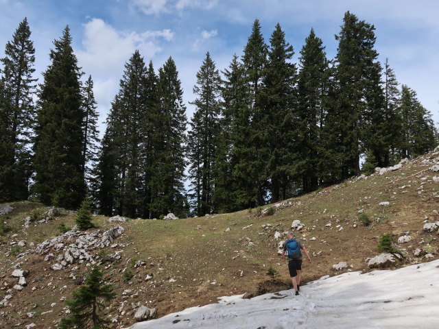 Frank zwischen Bernlehnerh&uuml;tte und Schwarzalm