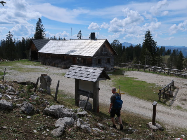 Frank auf der Schwarzalm, 1.536 m