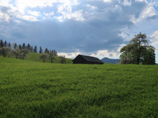 Hochtal