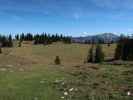 Wiesenalm