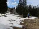 Frank zwischen Ringkogel und Planstiege