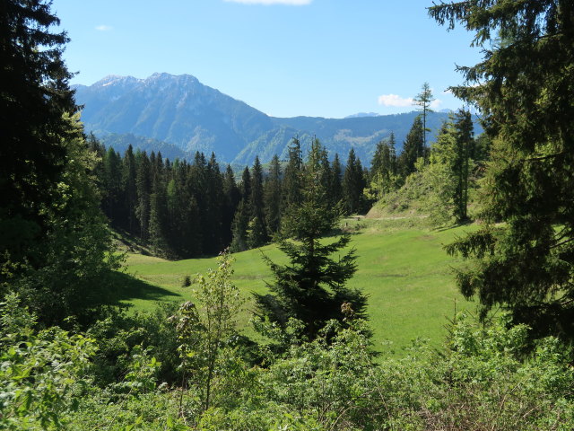 Sabodinalm
