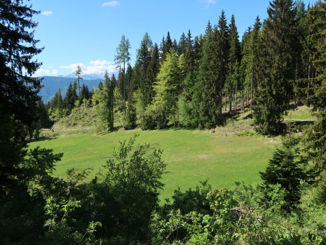 Sabodinalm